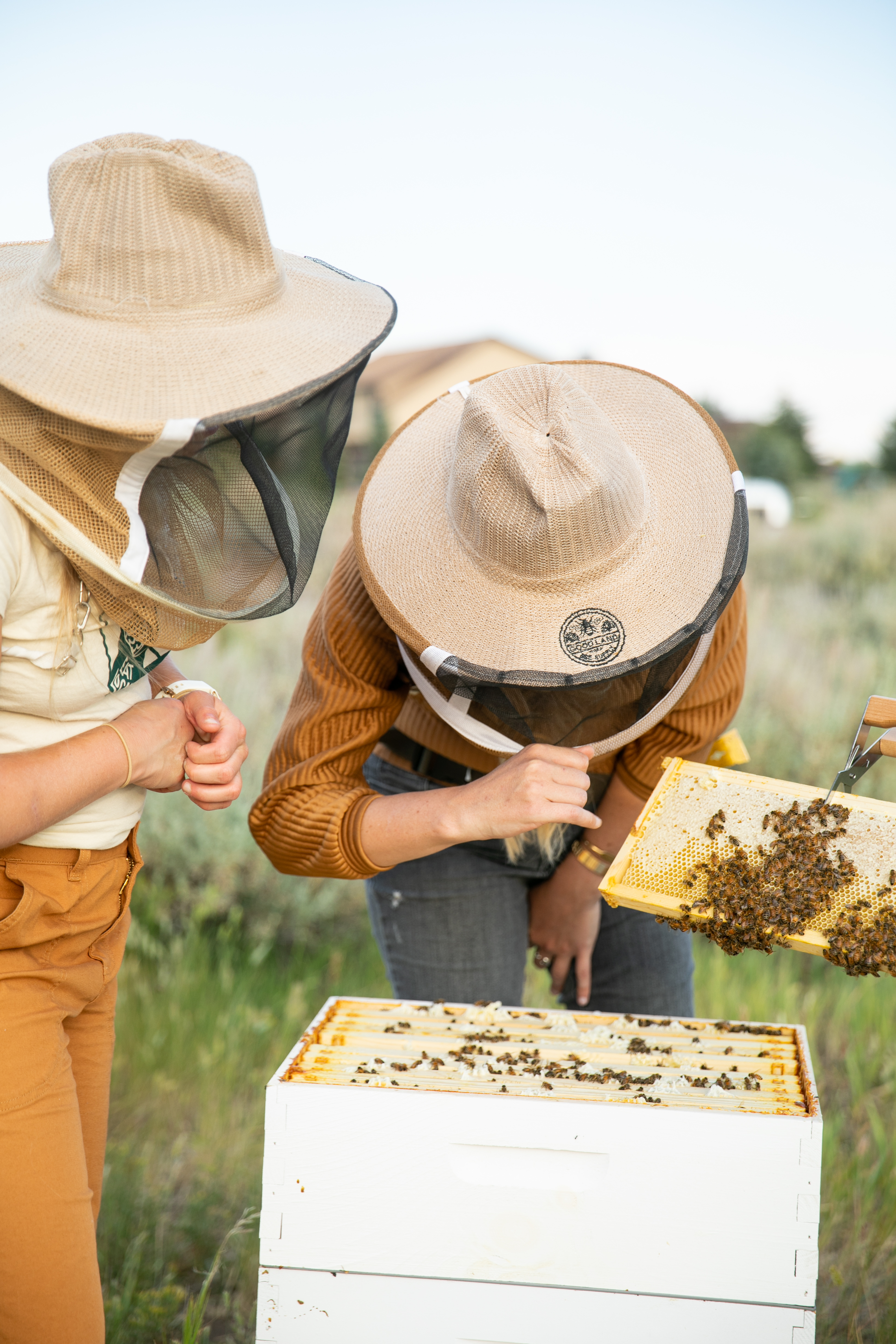 Ask a Beekeeping Expert - McKay Opeifa 5